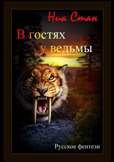 Книга В гостях у ведьмы (Ник Стан)